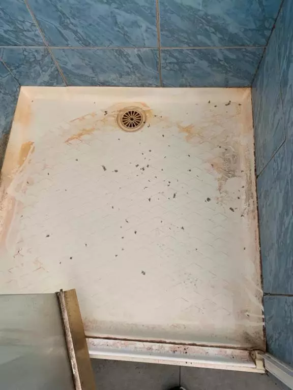 https___mediacache.homeimprovementpages.com.au_creative_galleries_2365001_2370000_2366150_original_images_2843655